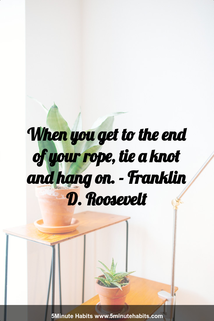 When you get to the end of your rope, tie a knot and hang on. - Franklin D. Roosevelt